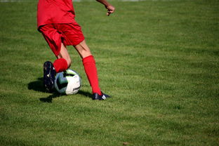 爱游戏手机版-内线球员在快节奏体系下的功能性演变，内线球员的主要作用